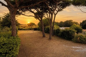 Un paysage naturel avec des arbres et un ciel dégagé.