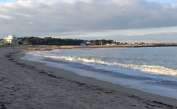 على الشاطئ، كراسي للتشمس