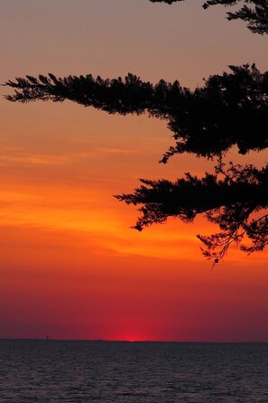 Accommodatie ligt op het strand, ligstoelen