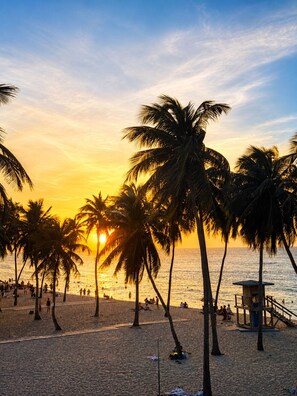 A beach scene with palm trees and a lifeguard tower. - Luxury Condo with Ocean Views near Old San Juan (San Juan Antiguo)