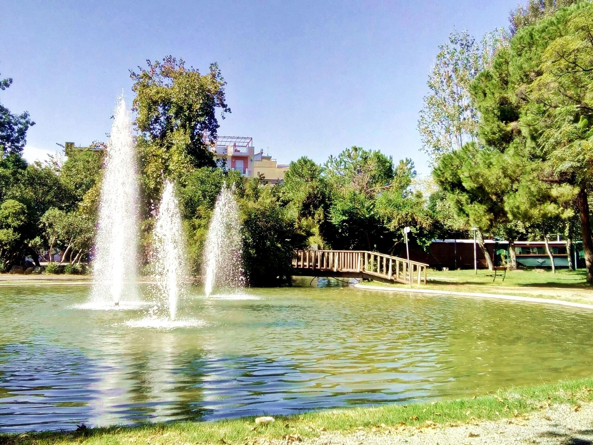 Áreas de la propiedad