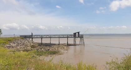 studio/Mezzanine pour 2/4pers ,terrasse jardin,10km de Soulac plage, 2km Gironde