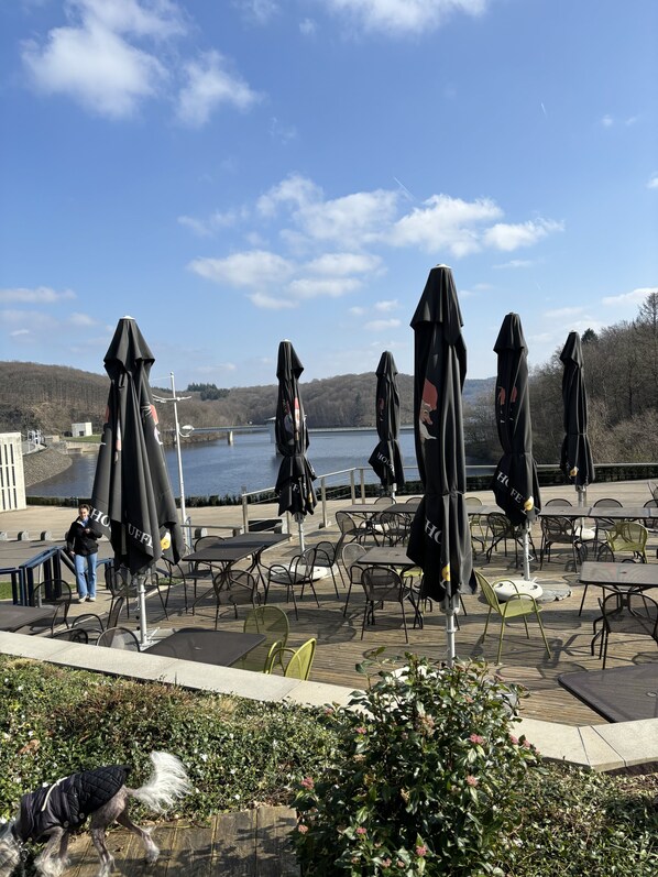 Outdoor dining - Quiet guest house.Liège,Aix,Francorchamps.walking Forest Lake Swimming pool Play area (Goé)