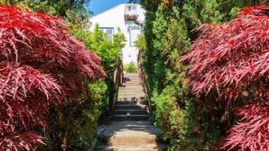 A stone staircase leading to a white building surrounded by red foliage. - Cozy Laurelhurst 1 Bedroom Apt Near Children’s Hospital, UW, Husky Stadium, UWMC (Seattle)