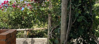 Studio house, suites