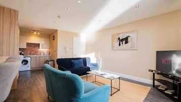 Fernseher, Arbeitsbereiche