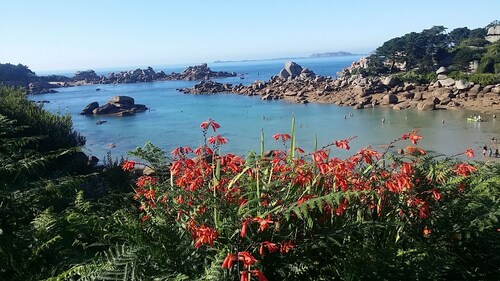 Neues Haus Juni 2019: Blick auf den Hafen von Perros-Guirec, Strand 300 m