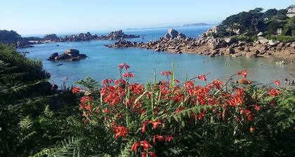 Neues Haus Juni 2019: Blick auf den Hafen von Perros-Guirec, Strand 300 m