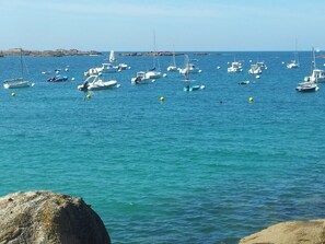 A marina with various boats and yachts anchored in calm waters.