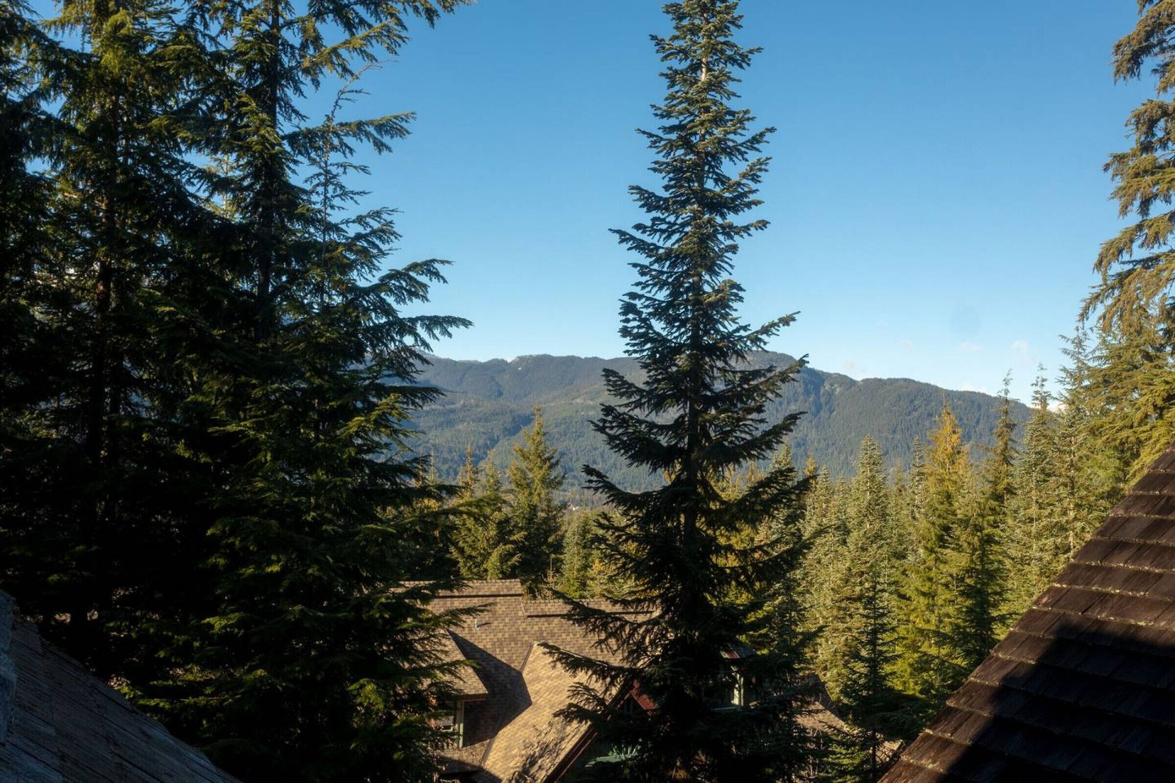 Eine bewaldete Berglandschaft mit Blick auf entfernte Berge.