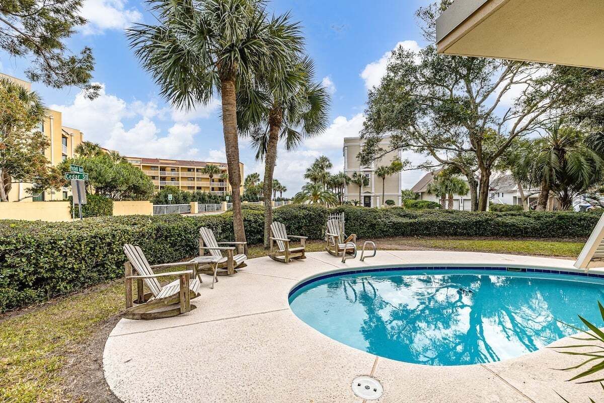A pool area with lounge chairs and a palm tree.