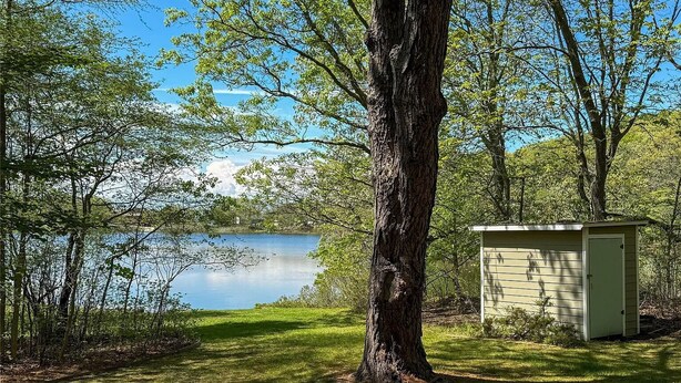 A serene lakeside setting with a small shed and a large tree in the foreground.