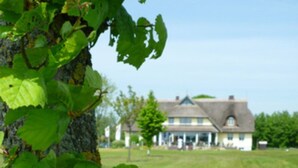 A golf club leaning against a tree with a house in the background.