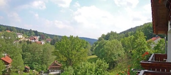 Double room without balcony 02 - Gasthaus Zum Pälterwald