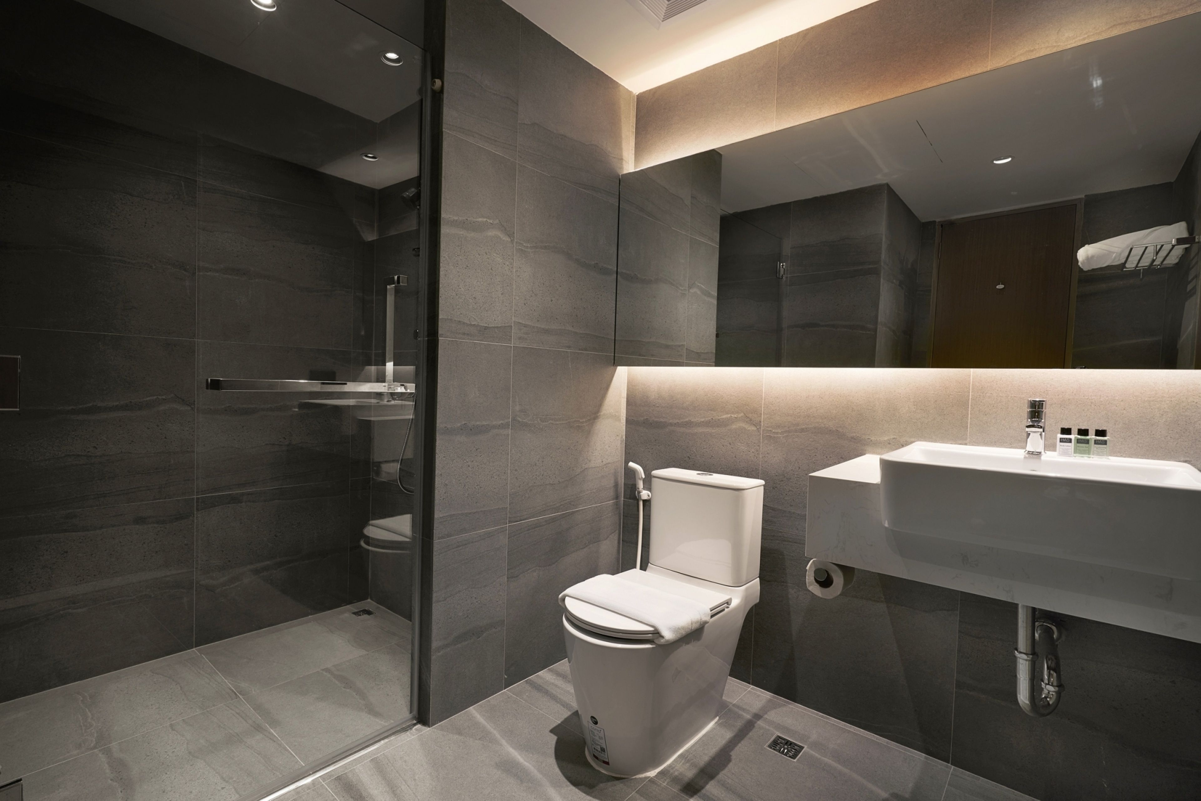 grand suite | bathroom | separate bathtub and shower, free toiletries, hair dryer, bathrobes