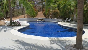 Una piscina de borde curvo, rodeada de palmeras y sillas de descanso.