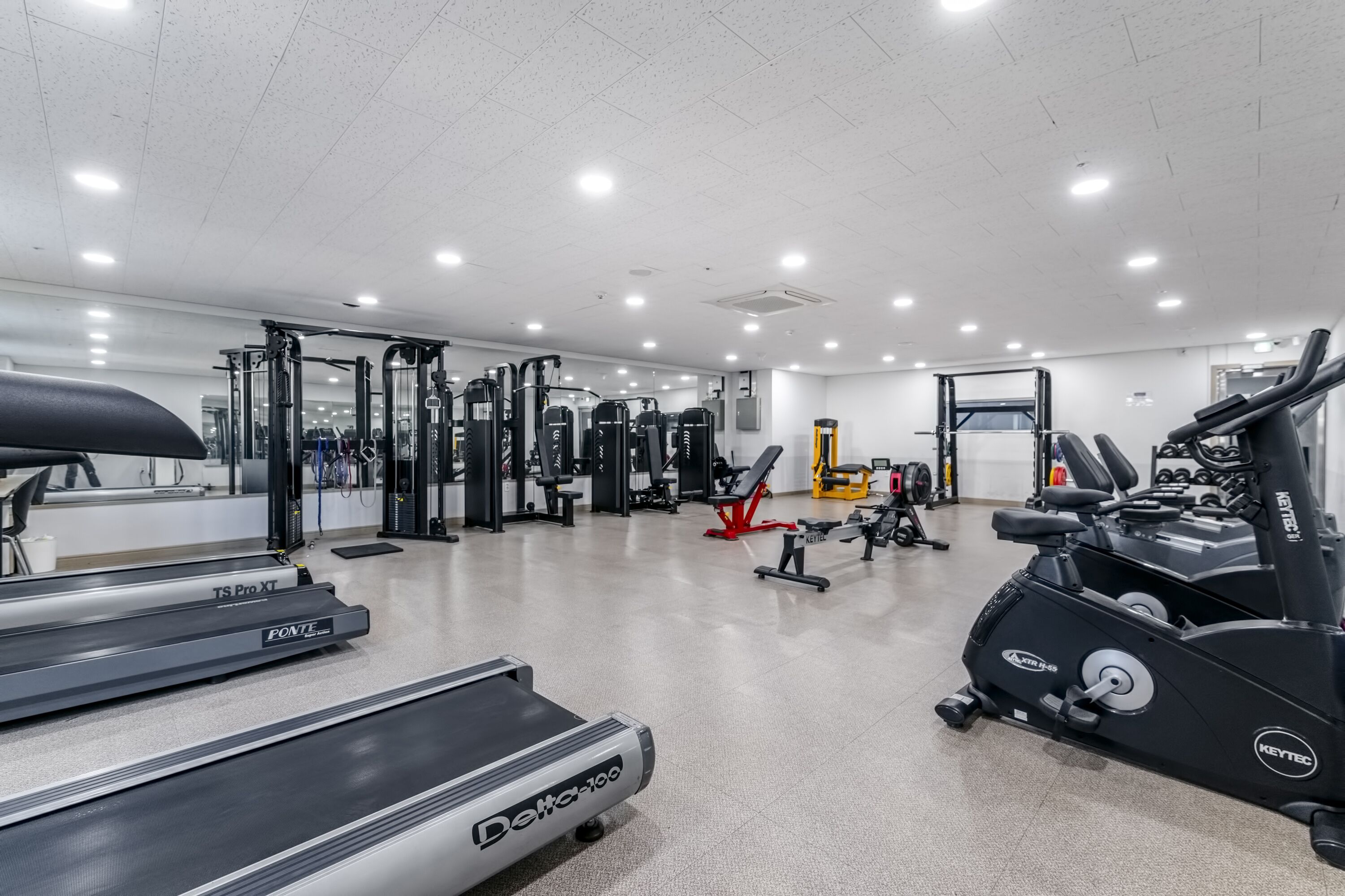 A modern gym with cardio equipment like treadmills and an elliptical, weight machines, and a mirror wall.
