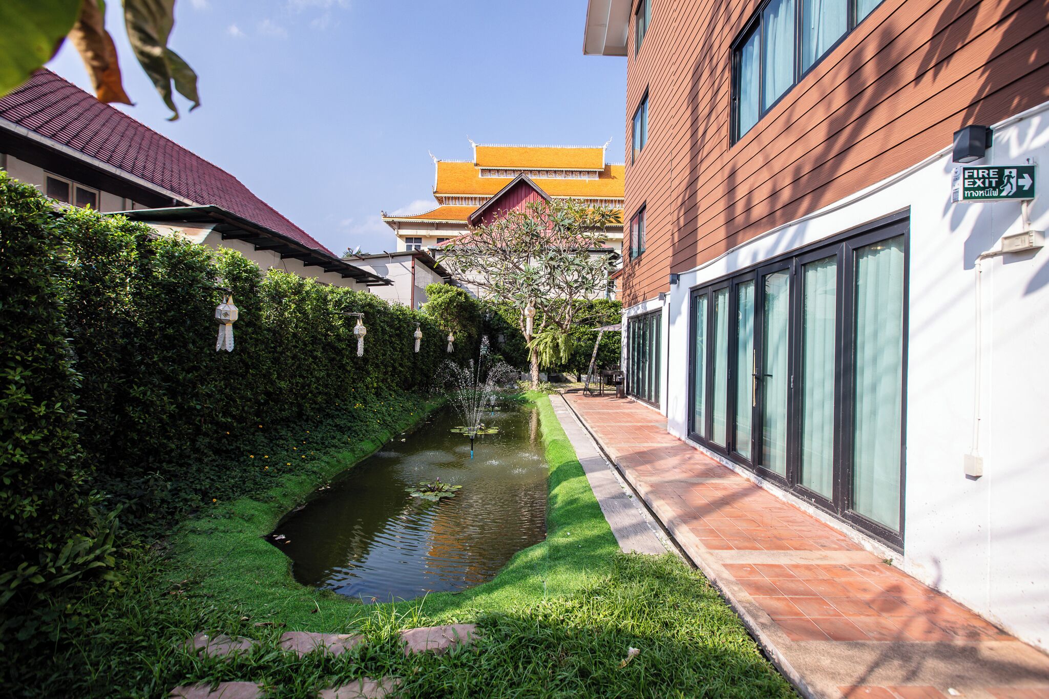 Foto - The Experience Walking Street Chiang Mai