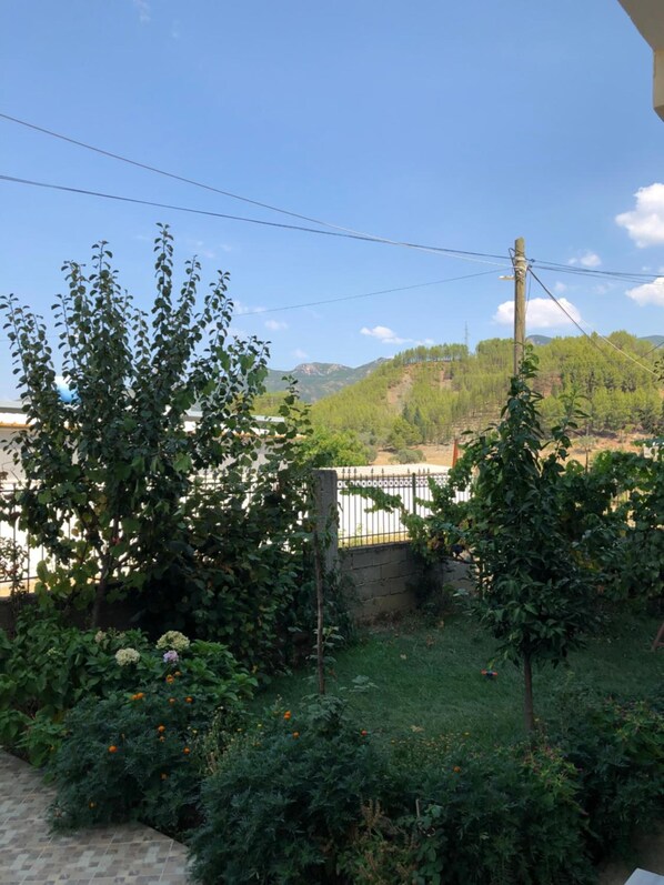 A garden with various plants and a white fence.