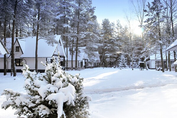 A snow-covered landscape with buildings, trees, and a snow-laden bush.