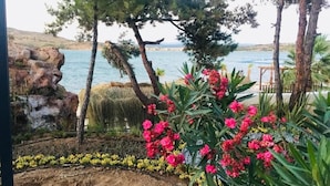 庭園
