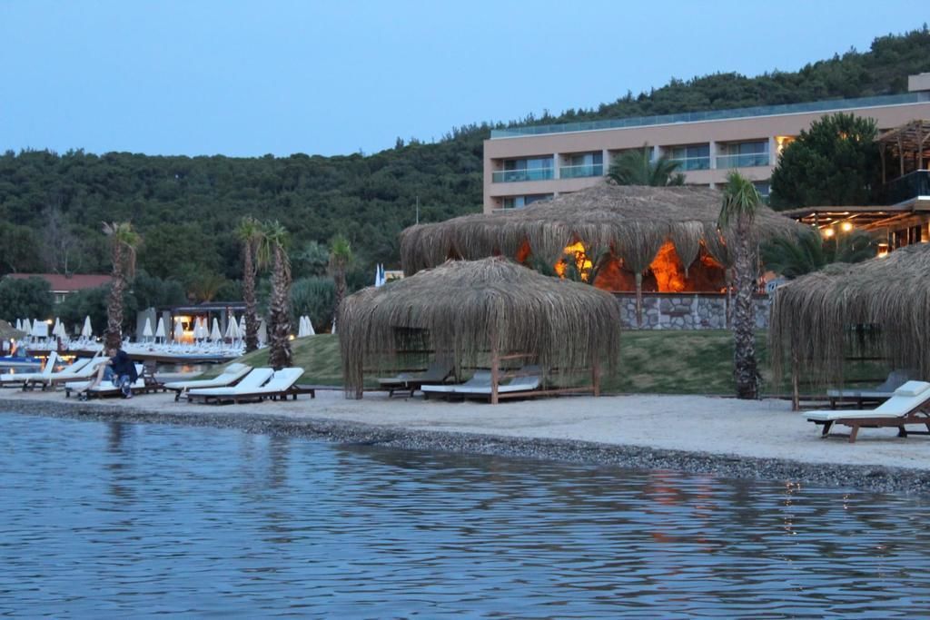 Een hotel aan het strand met rieten parasols, ligbedden en een zwembad.
