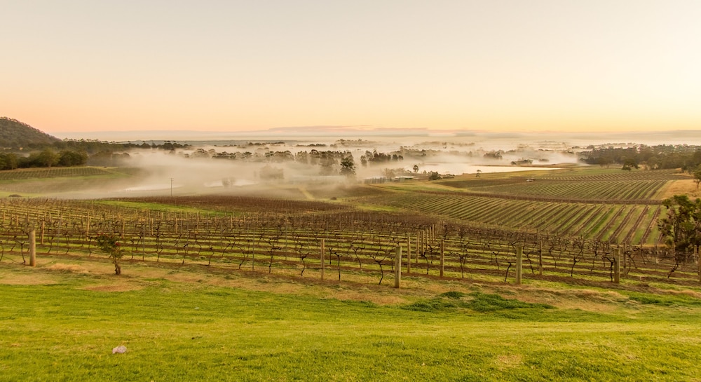 Audrey Wilkinson, Hunter Valley by null