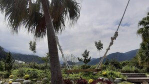 A garden with a palm tree, a large rock sculpture, and a wooden deck. - Fu Chuan Garden Homestay (Nanzhuang)