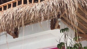 A building with a thatched roof and a sign reading "TSIM SHA TSUI". - Way Shack Hostel (Oslob)