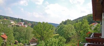 Double room without balcony 10 - Gasthaus Zum Pälterwald