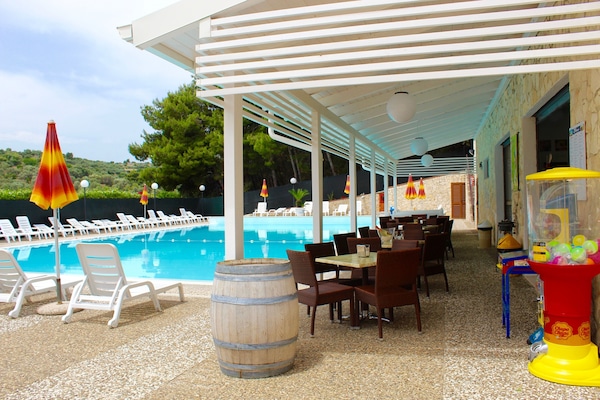 Seasonal outdoor pool, pool umbrellas, sun loungers