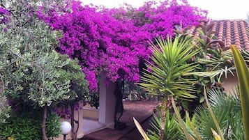 外观细节