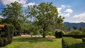 A lush garden with a large tree, a swimming pool, and a view of the hills. - Villa Barsotti (Pescaglia)