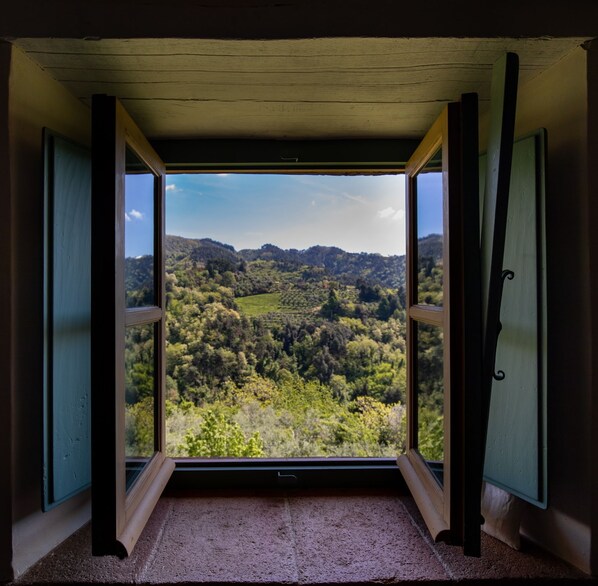 View from room - Villa Barsotti (Pescaglia)