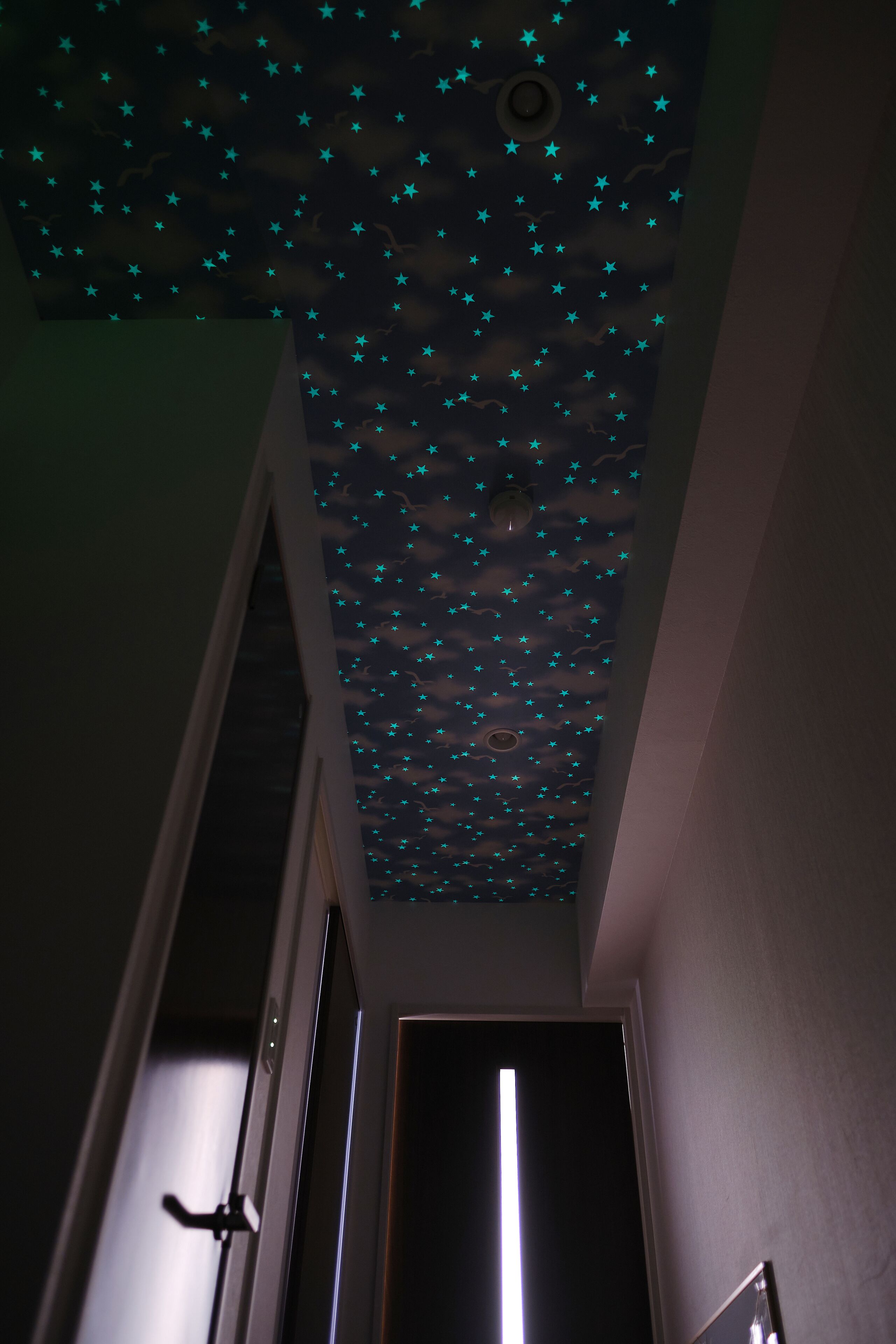 A ceiling with a starry pattern.