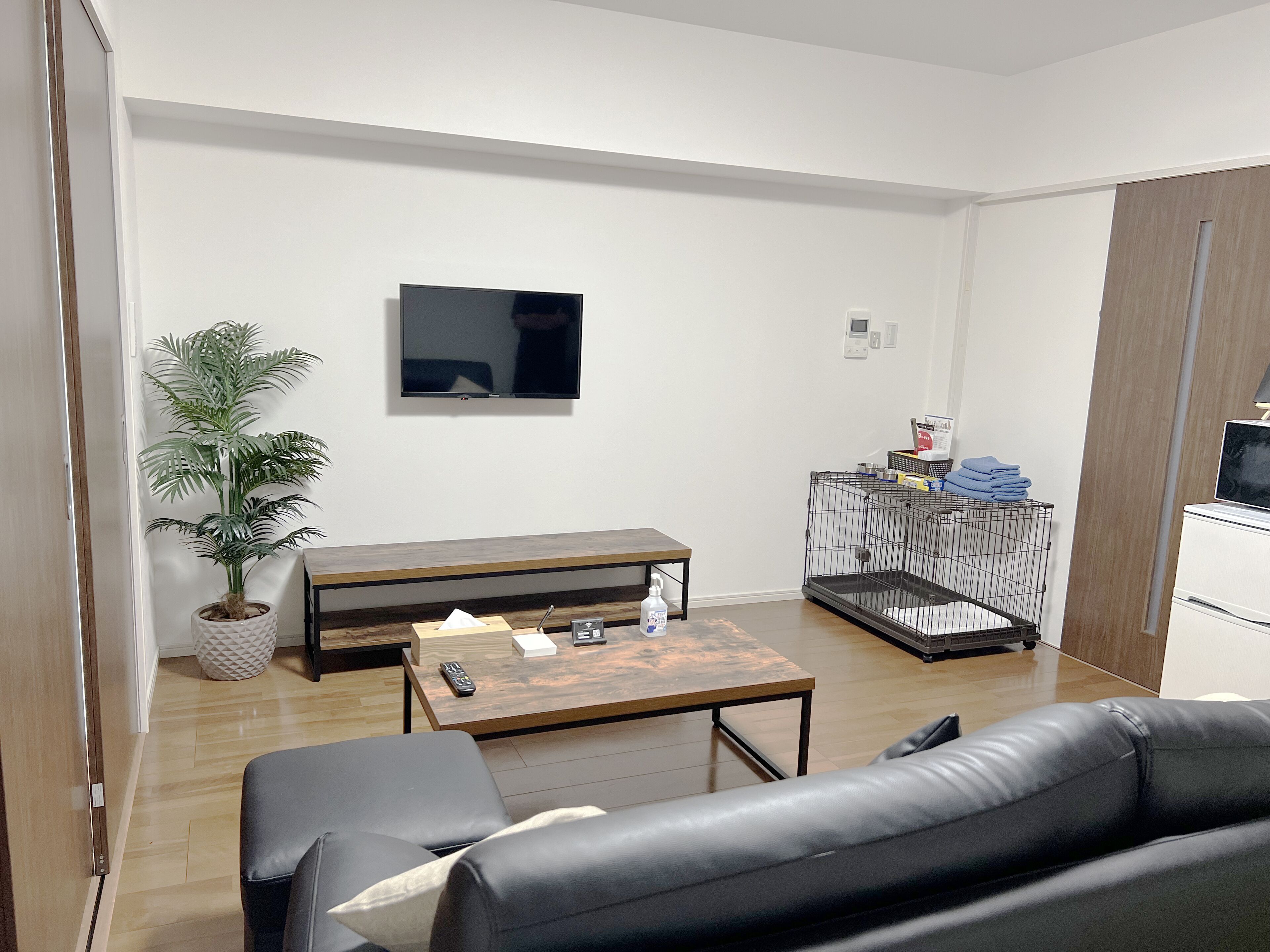 A modern living room with a sofa, a coffee table, a TV, a small table with a remote, a potted plant, and a pet cage.