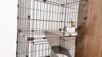 A multi-level metal cage with a litter box and water bowl.