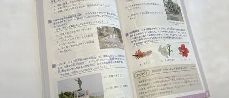 Un libro abierto con texto e imágenes japonesas, incluyendo una estatua y un edificio.