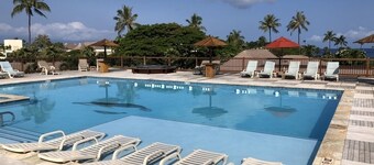 Relaxing Updated Studio Close to Everything!!