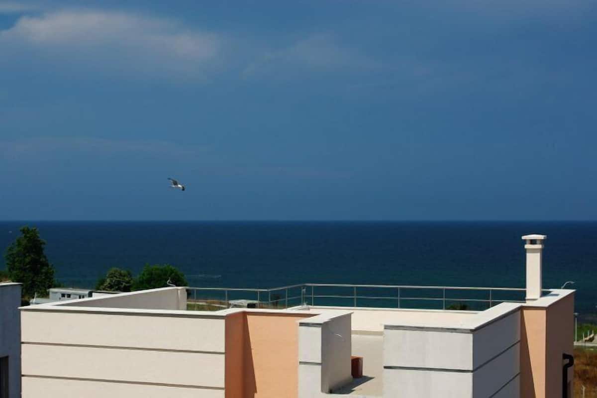 Beach/ocean view