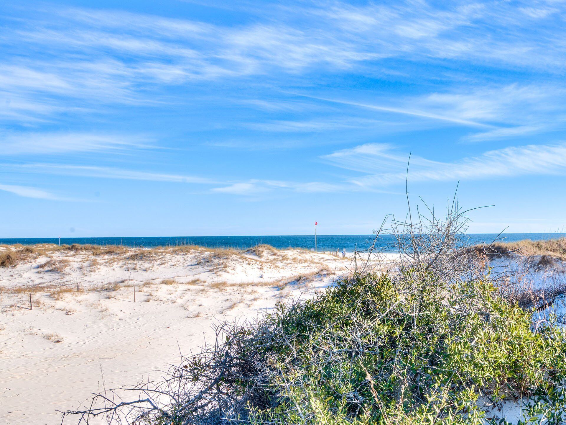A beach with sand dunes and sparse vegetation.