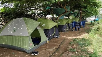 Basic Tent | Free WiFi