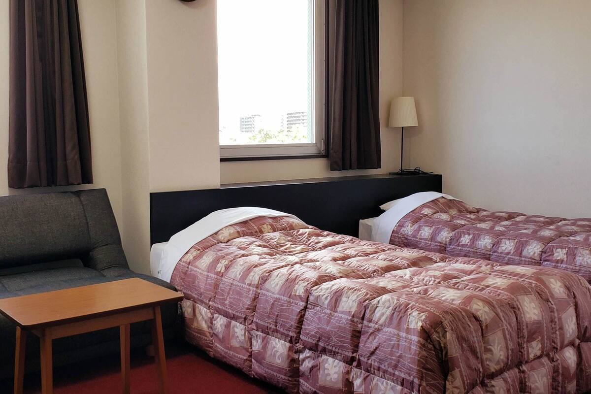 Habitación Deluxe con 2 camas individuales, no fumadores | Wifi gratis