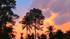 A sunset view with tall trees and a clear sky. - Samui Caravans Hill Camp (Koh Samui)