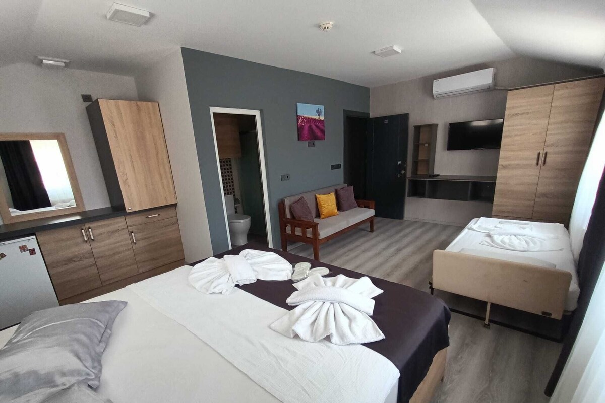 A hotel room with a bed, a sofa, a small kitchen area, and a bathroom.