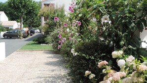 Una calle residencial con coches estacionados, un camino de grava y abundante vegetación, incluyendo plantas con flores.