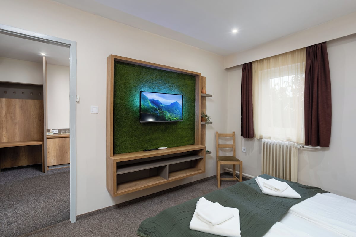 A hotel room with a bed, a TV mounted on a green wall, a wooden desk, and a chair.