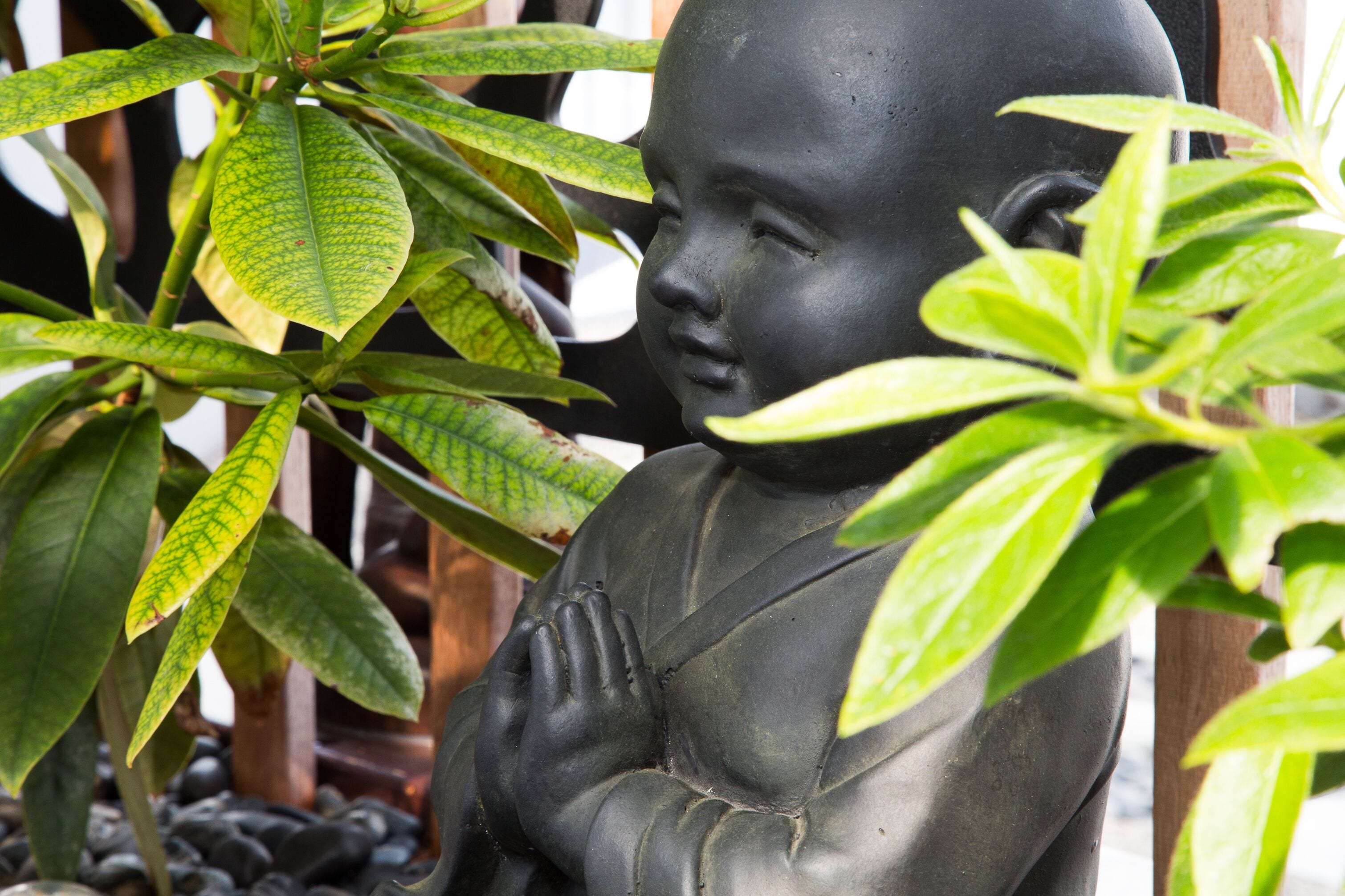 Bakers Retreat - located at New Town — image 27