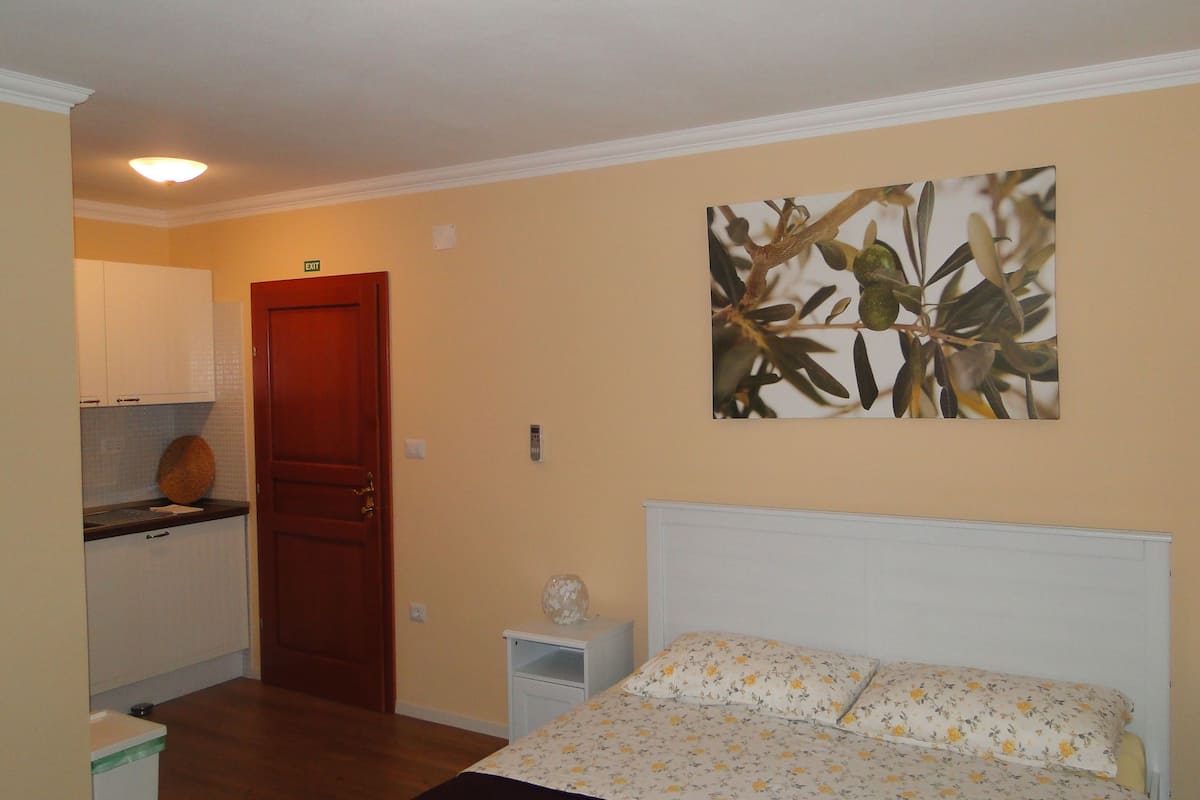 Studio | 1 chambre, chambres insonorisées, fer et planche à repasser