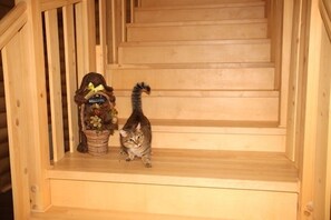 Interior - Guest House Tolstiy Kot (Izhevsk)